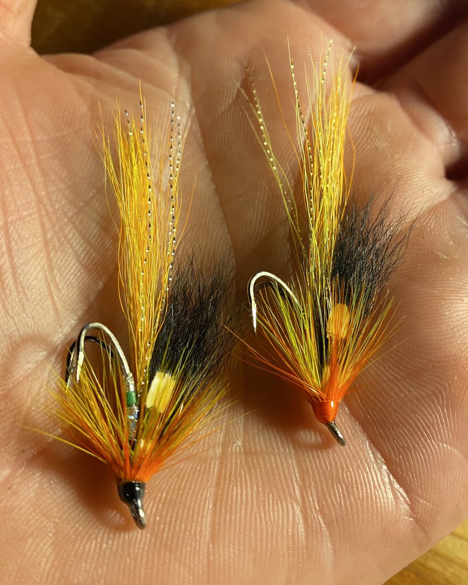 MKilleen86's tweet photo. It's getting near the time to start tying flies for the spring salmon, my first two off the vise this year, cascades in gold and silver. #salmonfishing #salmonflies #flytying #speycasting #Irishsalmon https://t.co/936LRSs030