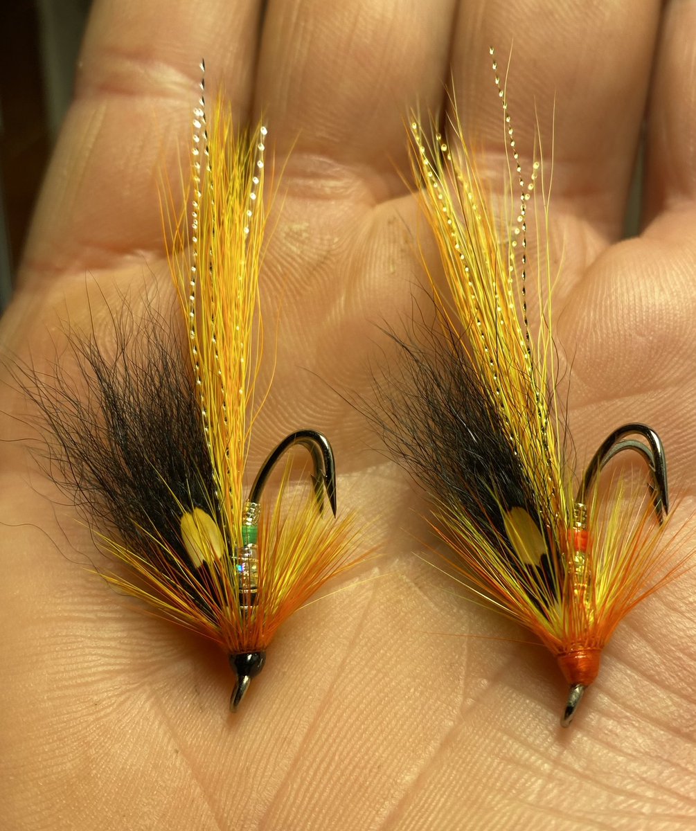 MKilleen86's tweet photo. It's getting near the time to start tying flies for the spring salmon, my first two off the vise this year, cascades in gold and silver. #salmonfishing #salmonflies #flytying #speycasting #Irishsalmon https://t.co/936LRSs030