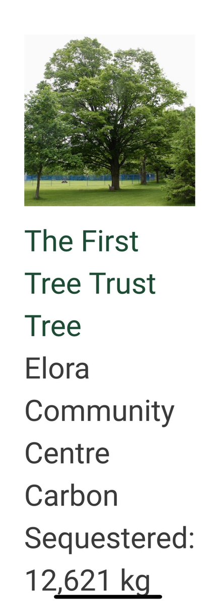 4/5 posts of things to be excited about. Today - trees! Huge shift coming - Feds/Winnipeg ramping up. This Tree Trust in Elora sells certified offsets. Also, what’s cheapest way to prevent storm-induced overloaded sewage systems from dumping into our waterways? Trees!