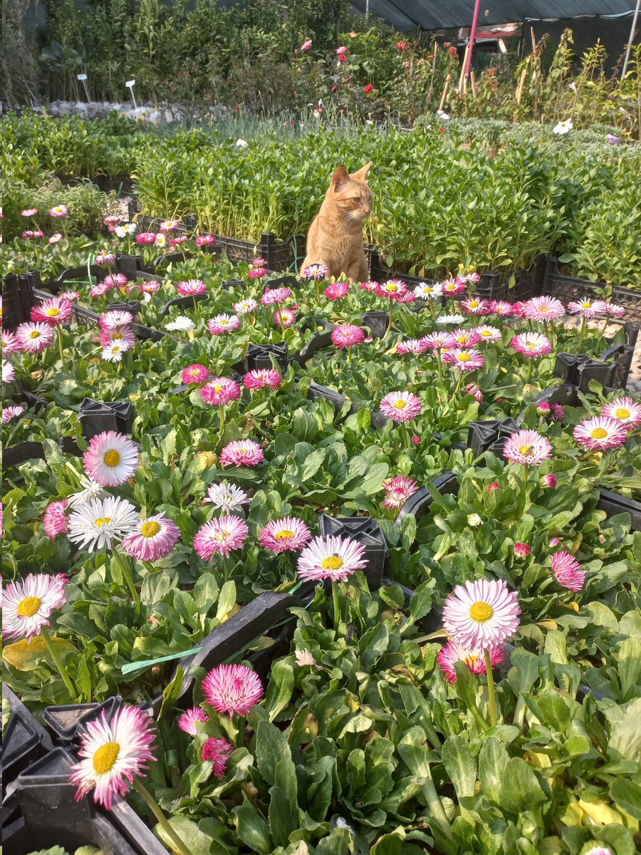 g7ust__'s tweet photo. کاش میشد همشونو بزارم https://t.co/parvIkg4CV