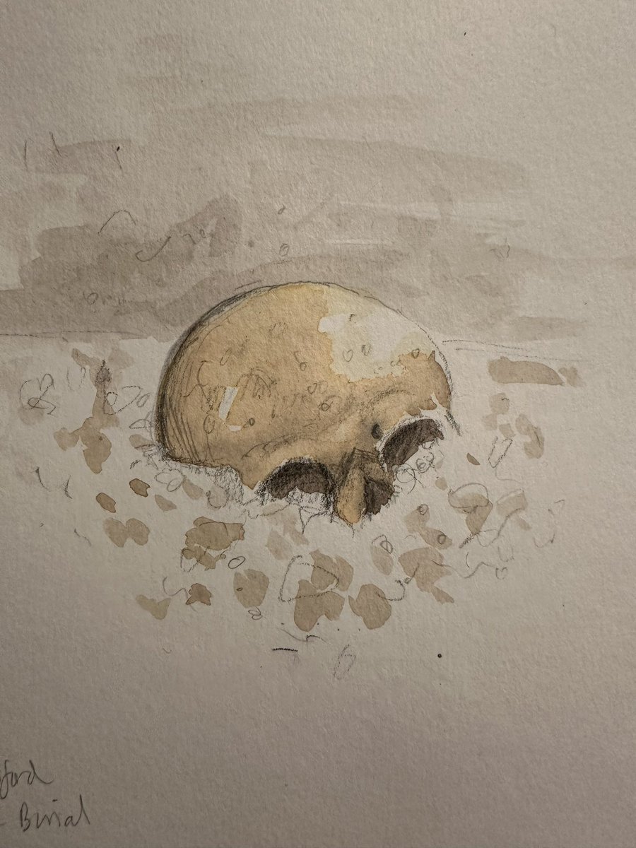 richardhosgood's tweet photo. Burials emerging from the New Alresford site dug by Liam for @PCAarchaeology on #DiggingForBritain #drawingdiggingforbritain https://t.co/vpGStS5TV7