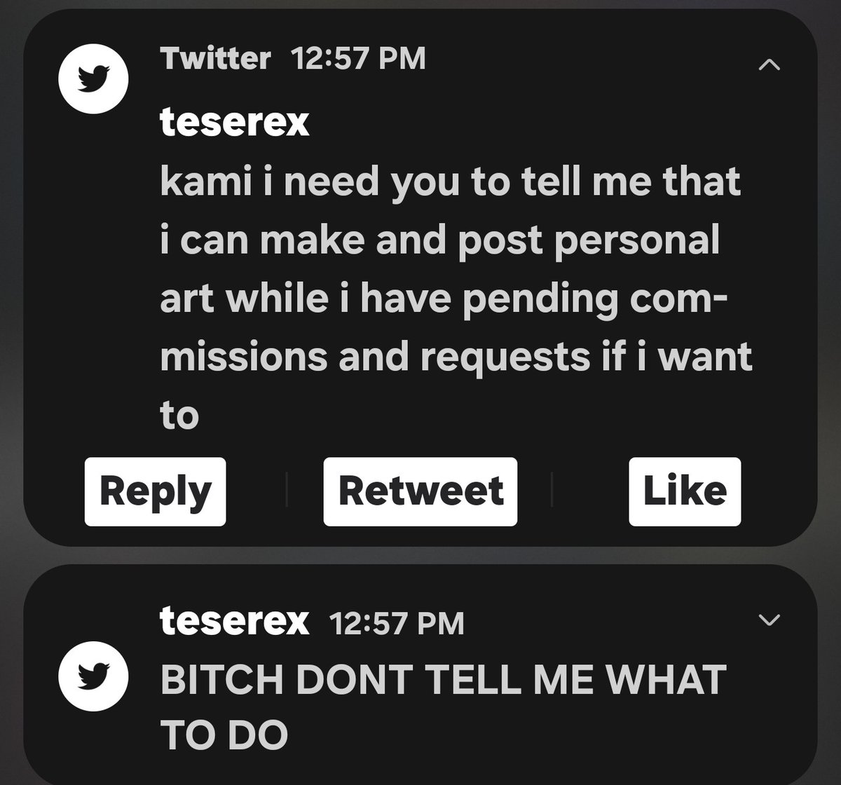 Z11Gaming tweet media