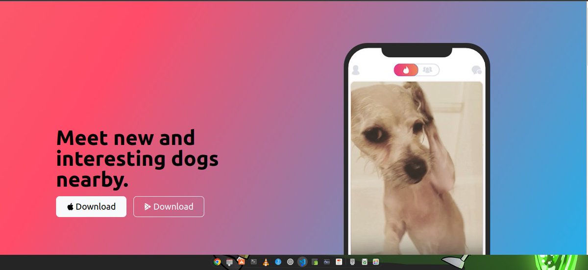 iamngugi1's tweet photo. Day 3 of #100daysofcodechallenge managed to create a simple dog tinder website using bootstrap following a bootcamp course.  This gave me an idea of a project I might drop tomorrow. Stay tuned. https://t.co/KZFThOgjmr