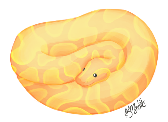 curbearth's tweet image. 5 Interesting Banana Ball Python Facts: bit.ly/3vkS58N
#bananaballpython #ballpythons #snakes