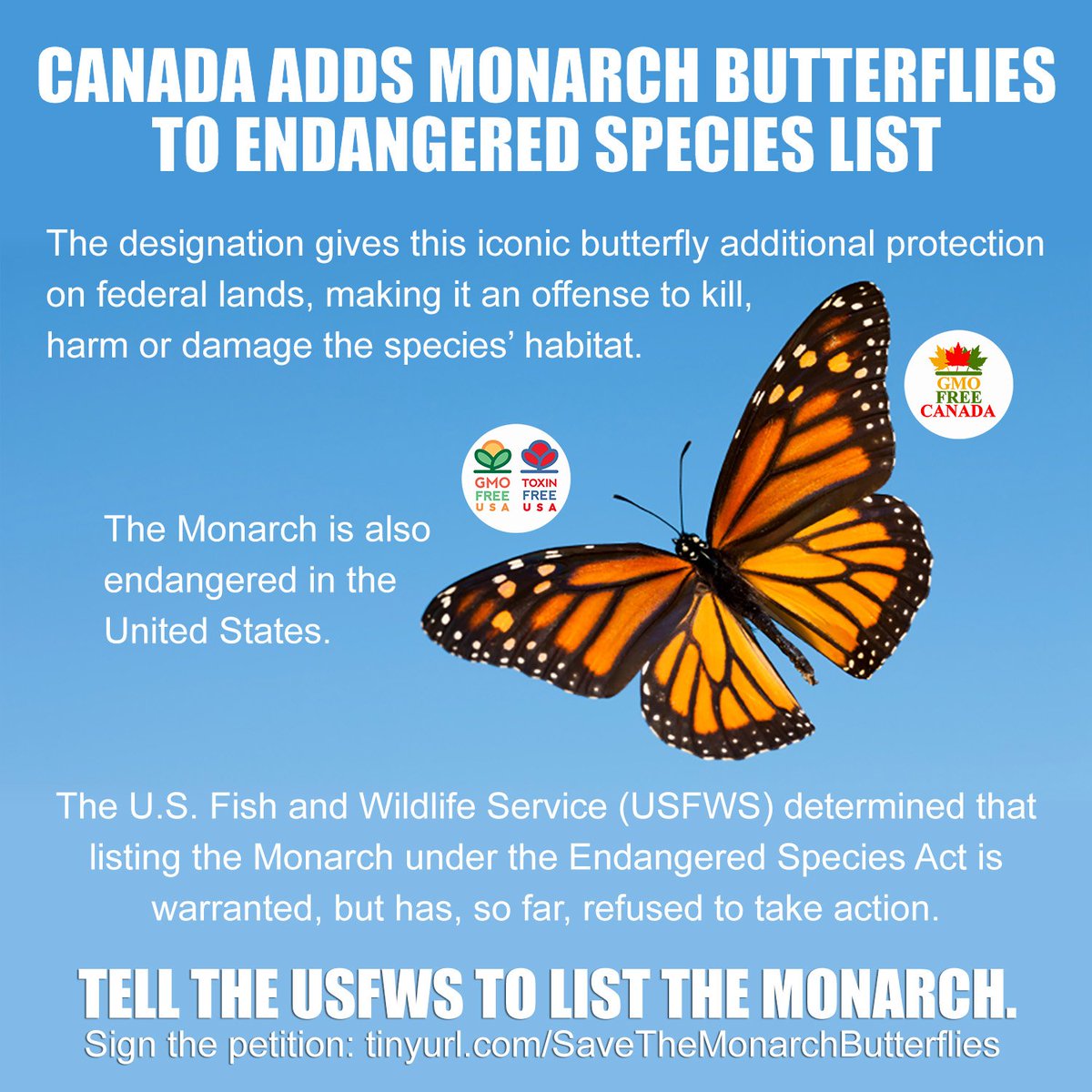 Why conserve butterflies? - Wildlife Preservation Canada