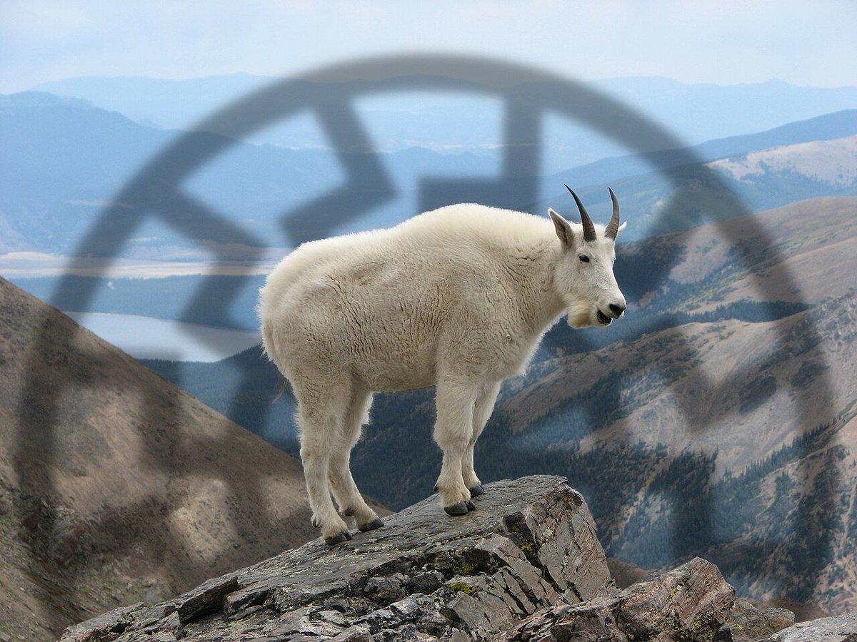 paleozoon's tweet image. #hyperborean #GOAT𓃲