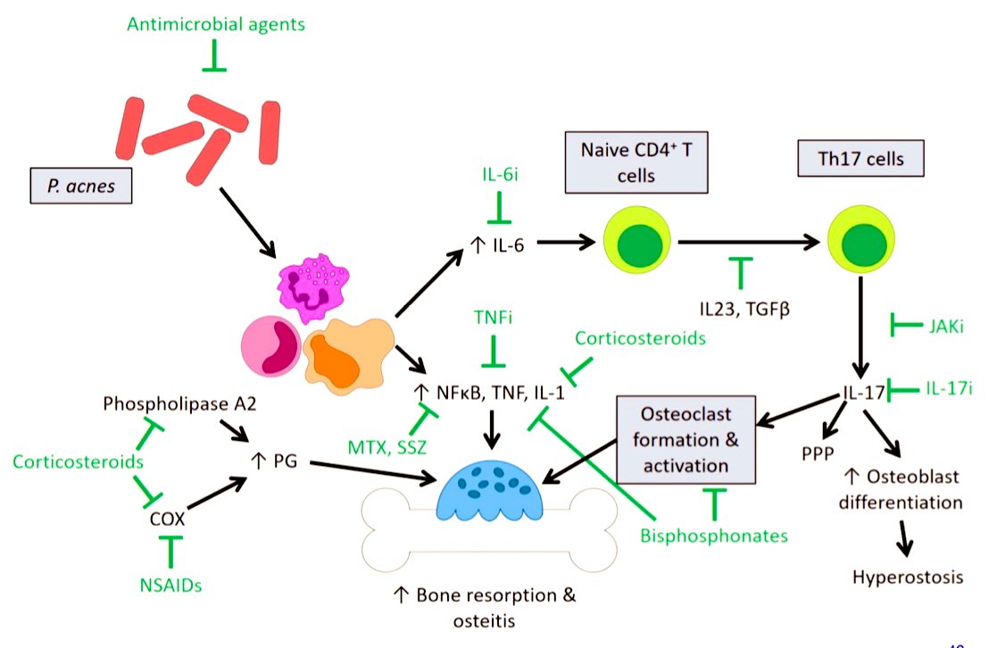 Cristina Macía tweet media