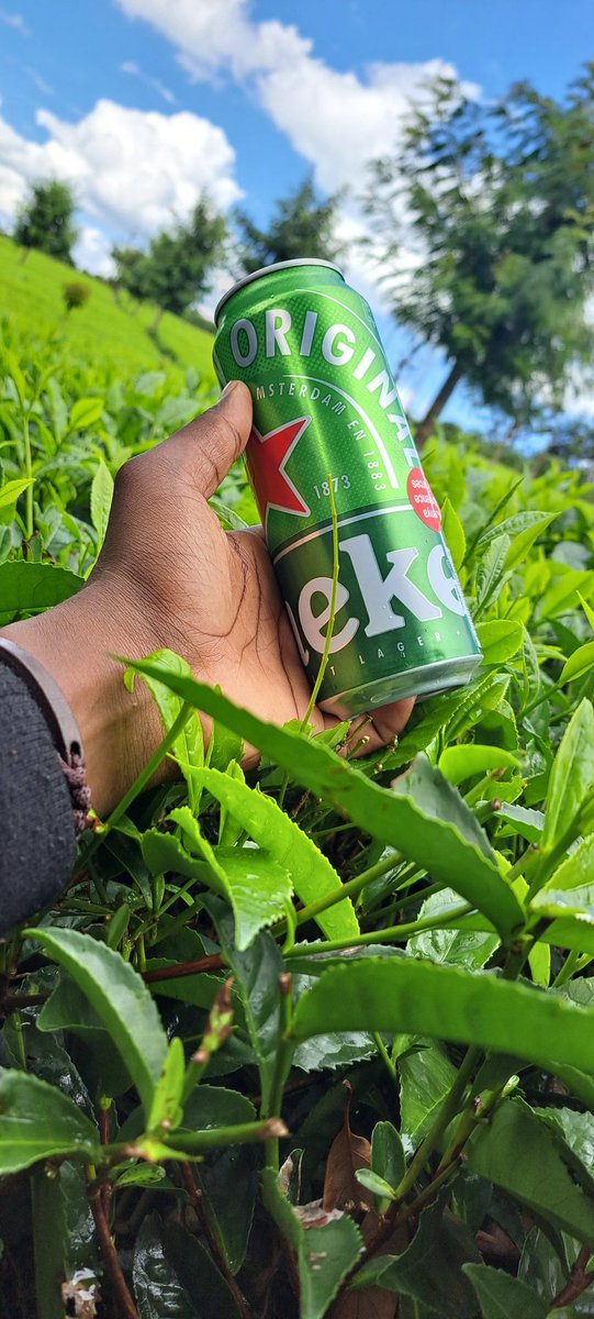 fello_kips's tweet photo. @Heineken_KE @Heineken https://t.co/HdhJqxSGNz