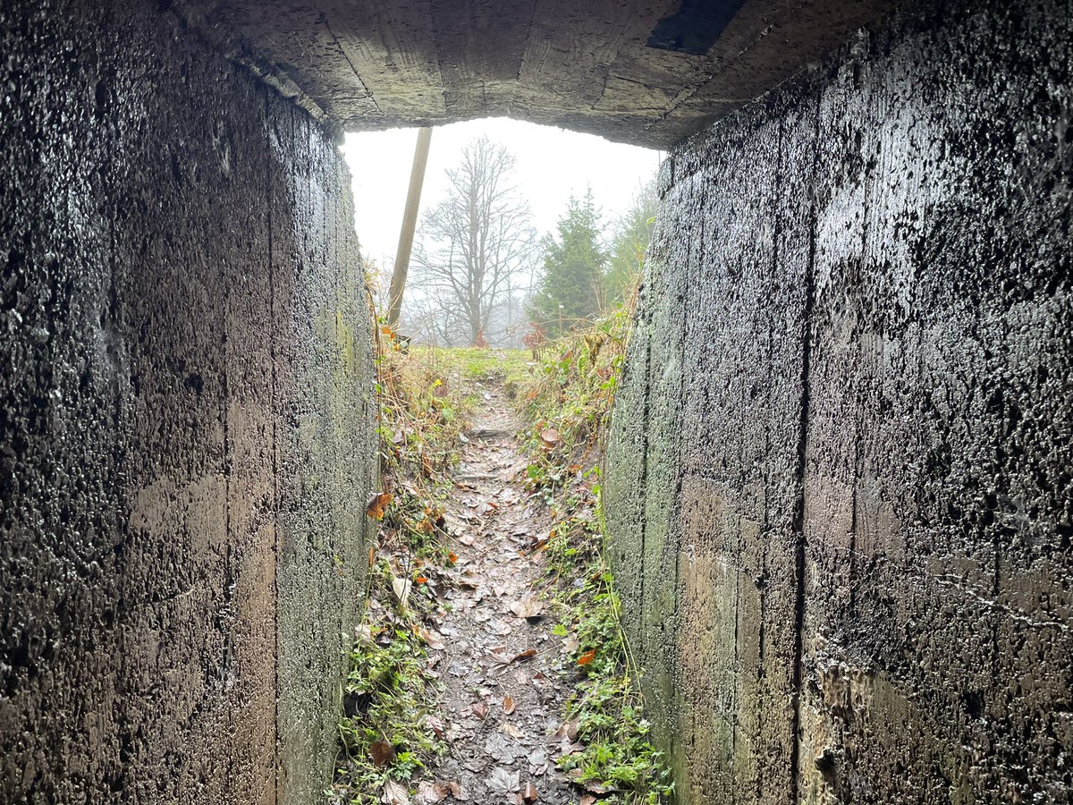 EricHebting's tweet photo. Aujourd’hui une randonnée 🥾 très sympathique malgré la météo avec le sentier des casemates partie nord, celui des bunkers, pour finir avec le Grand et le Petit Donon.

#Randonnée #Sentier #Casemates #Bunkers #Donon #Alsace #BasRhin #BaladeSympa #EnFranceAussi https://t.co/9oenaNEmrw
