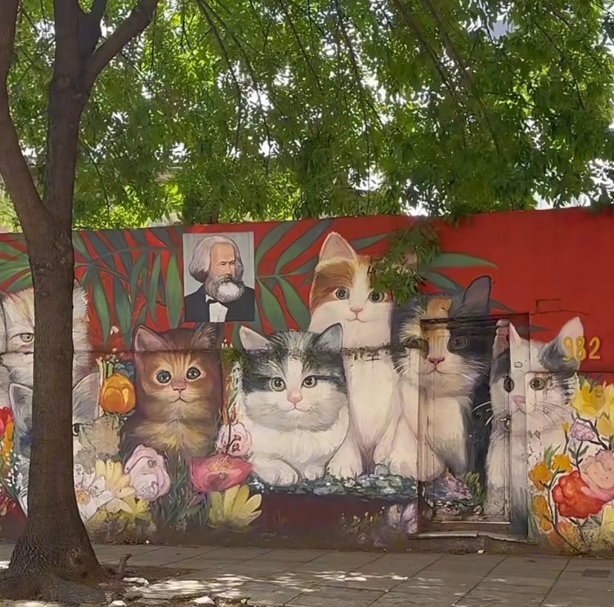 Psicóloga: “Os gatos não fizeram uma Grande Revolução Cultural Proletária Felina, foi um sonho” O mural da minha rua: