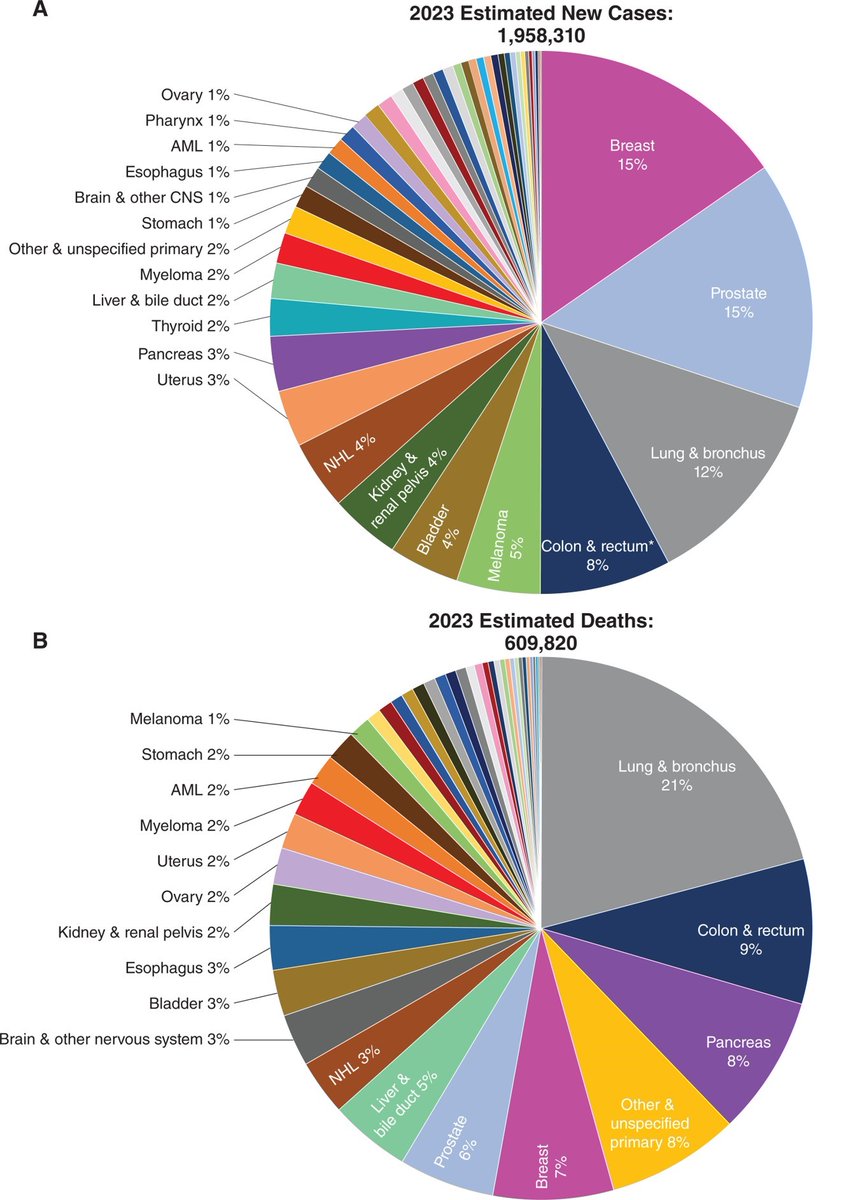 CD_AACR's tweet photo. In Focus from the latest issue—
Cancer in 2023 by the @AACR Cancer Progress Report Steering Committee.
https://t.co/ZnmmfKwn3X https://t.co/Gp5XMolmGU