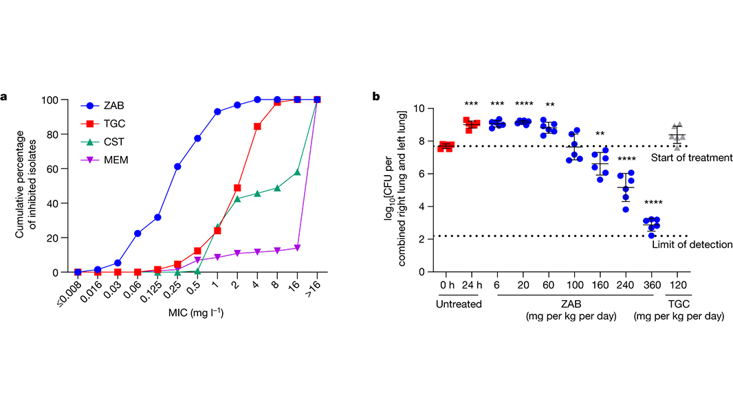 A paper in <a href="/Nature/">nature</a> reports a newly discovered antibiotic that is effective against carbapenem-resistant Acinetobacter baumannii (CRAB), a bacterial species that is resistant to multiple classes of existing antibiotics. go.nature.com/4aI4YtO