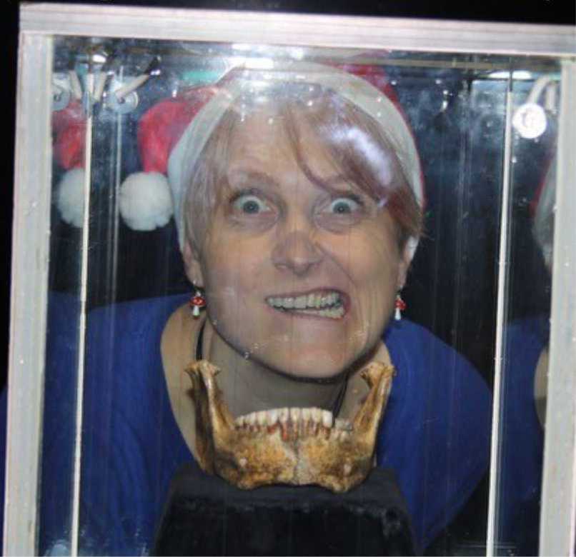 On behalf of Homo heidelbergensis, I wish you a Happy New Year and a smile all year long!😉