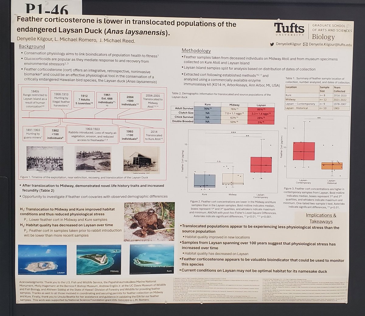 If you are at #SICB2024 and want to chat about conservation, ducks, and feather hormones come see my poster this afternoon! <a href="/SICB_DCE/">SICB Division of Comparative Endocrinology</a> <a href="/SICB_/">SICB</a>