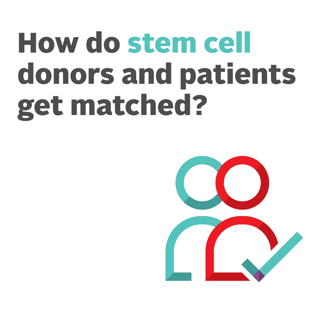 Ever wonder how stem cell donors and patients get matched? 🤔 

It comes down to their human leukocyte antigen (HLA) type. These complex proteins play a key role in the immune response.   

👉 If you’re age 17 to 35, join the stem cell registry at ow.ly/n6uv50QmmyY