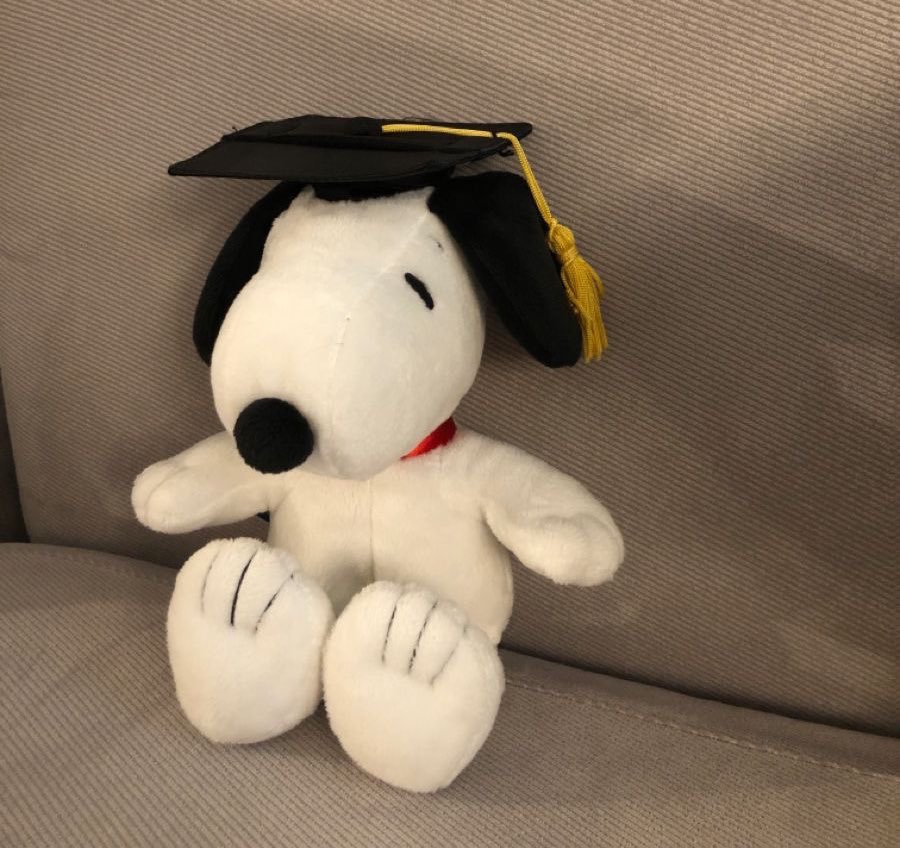 masters in snoopyism, double majored in snooptistics studies and snoopyistical analysis, minored in snoopology and valedictorian at the university of peanuts