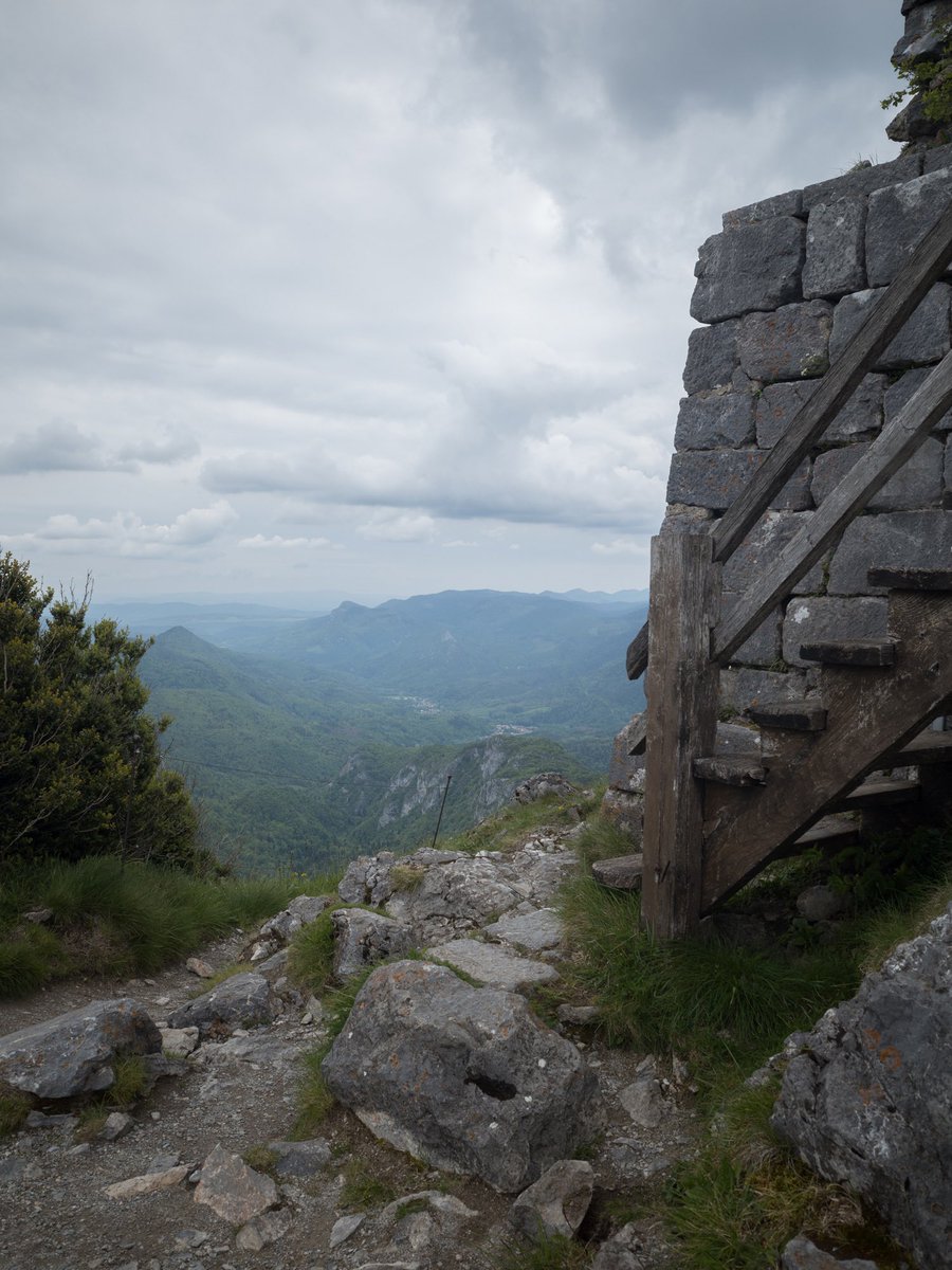 Ali Peck (@alipeckstudio) on Twitter photo 