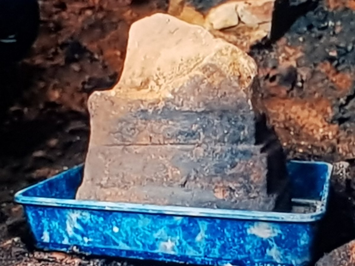 Leicestershire Fieldworkers tweet media