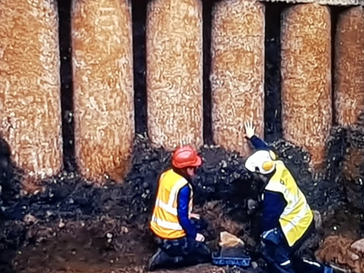 Leicestershire Fieldworkers tweet media