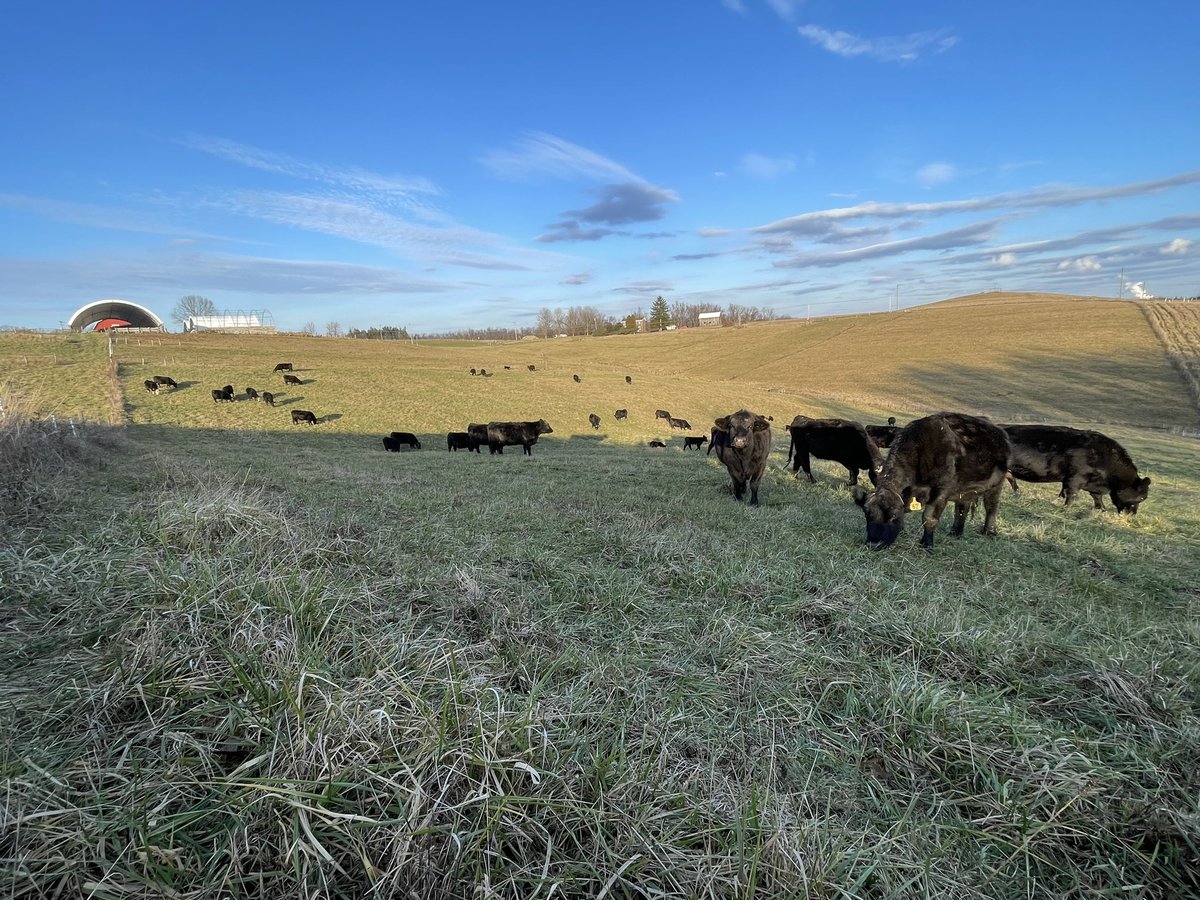 SB Nemo Farm tweet media