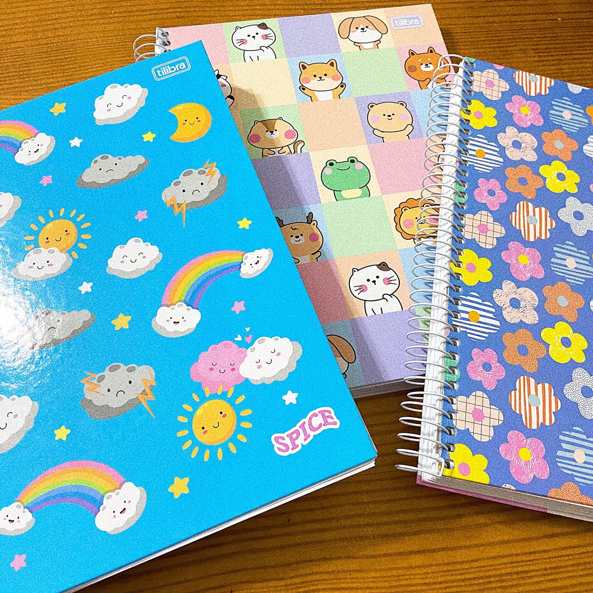 studyfran's tweet image. meus novos cadernos! 💖 #studytwt

mesmo o digital ajudando bastante, sinto que consigo fixar melhor o conteúdo escrevendo a mão