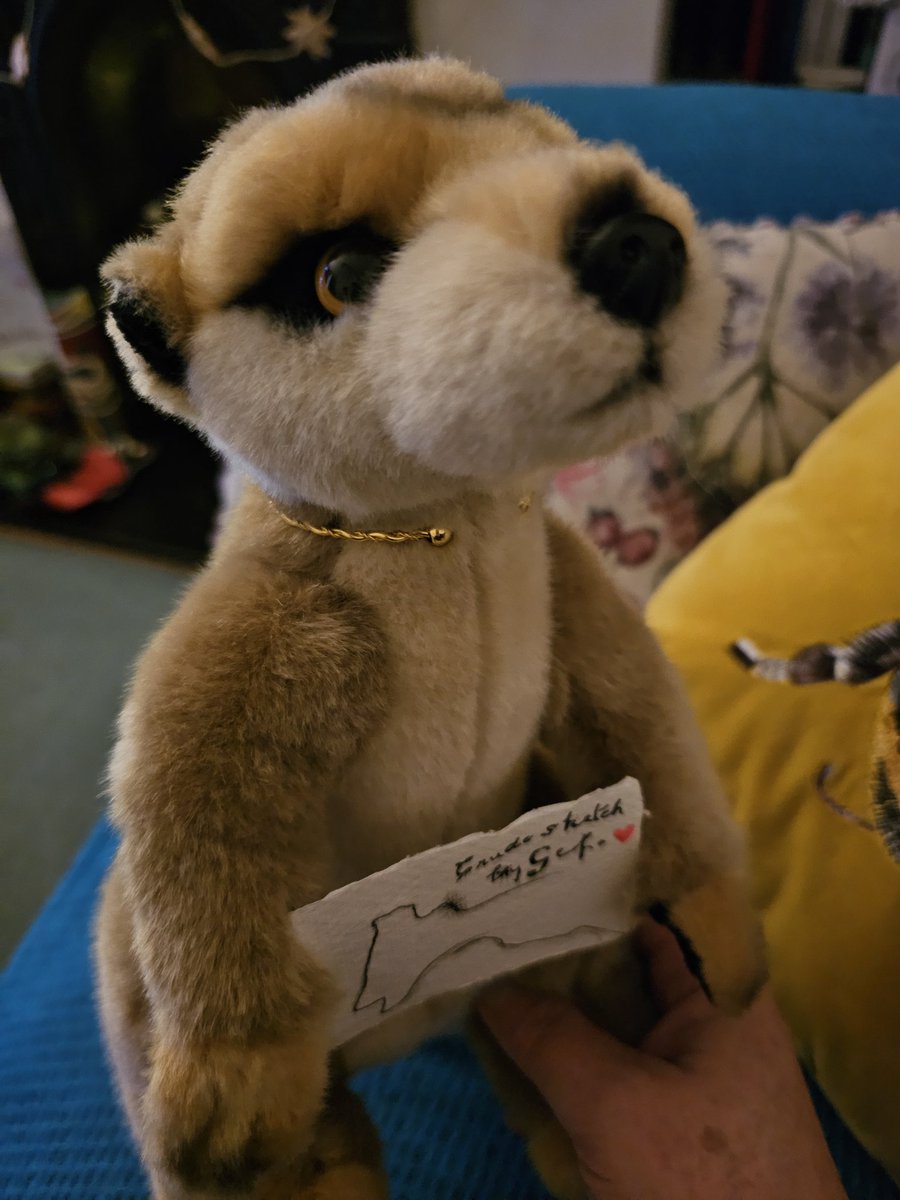 Tess_Machling's tweet image. In other news...

#Gef got a torc!! 🤣

#HarryPrice #GefTheTalkingMongoose