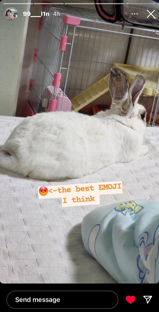 motherjihyun's tweet photo. Live laugh love Ulin

#ULIN #유린 #RabbitOrFox https://t.co/LfjgAjs8tQ