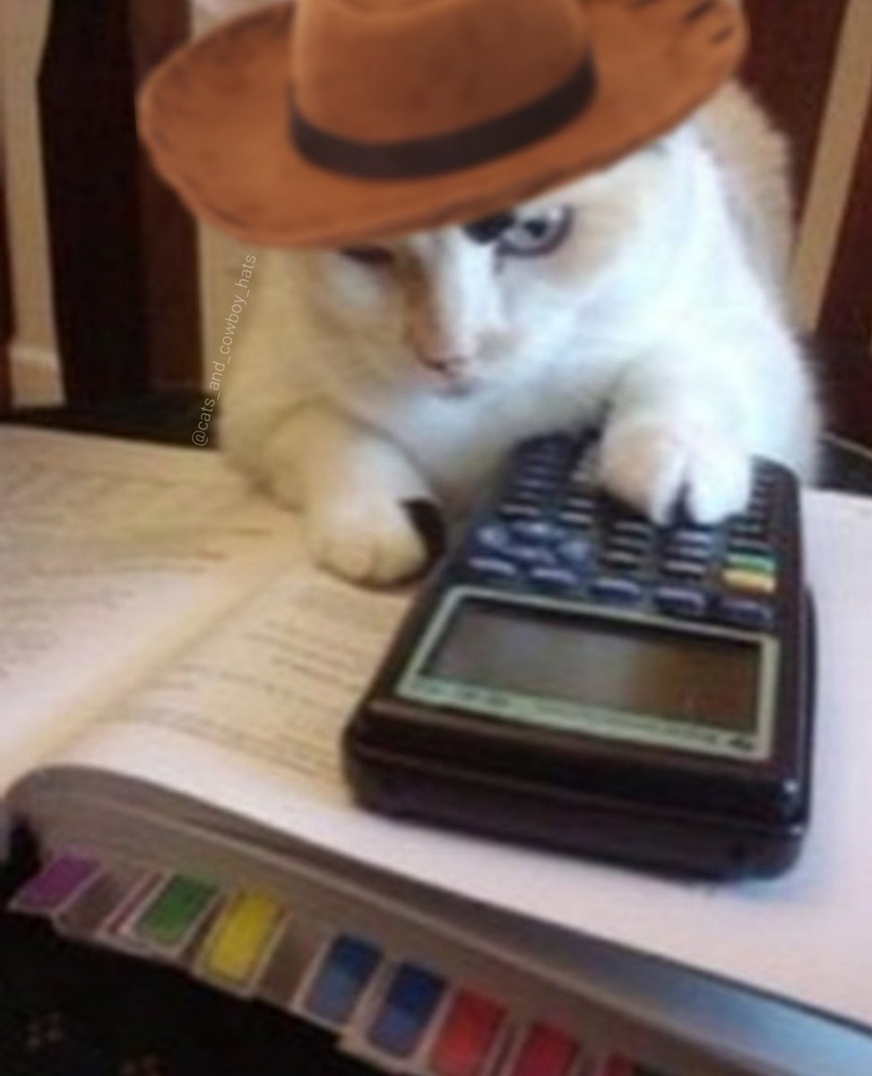 Cats And Cowboy Hats (@CowboyCats) on Twitter photo 2024-01-03 21:25:06