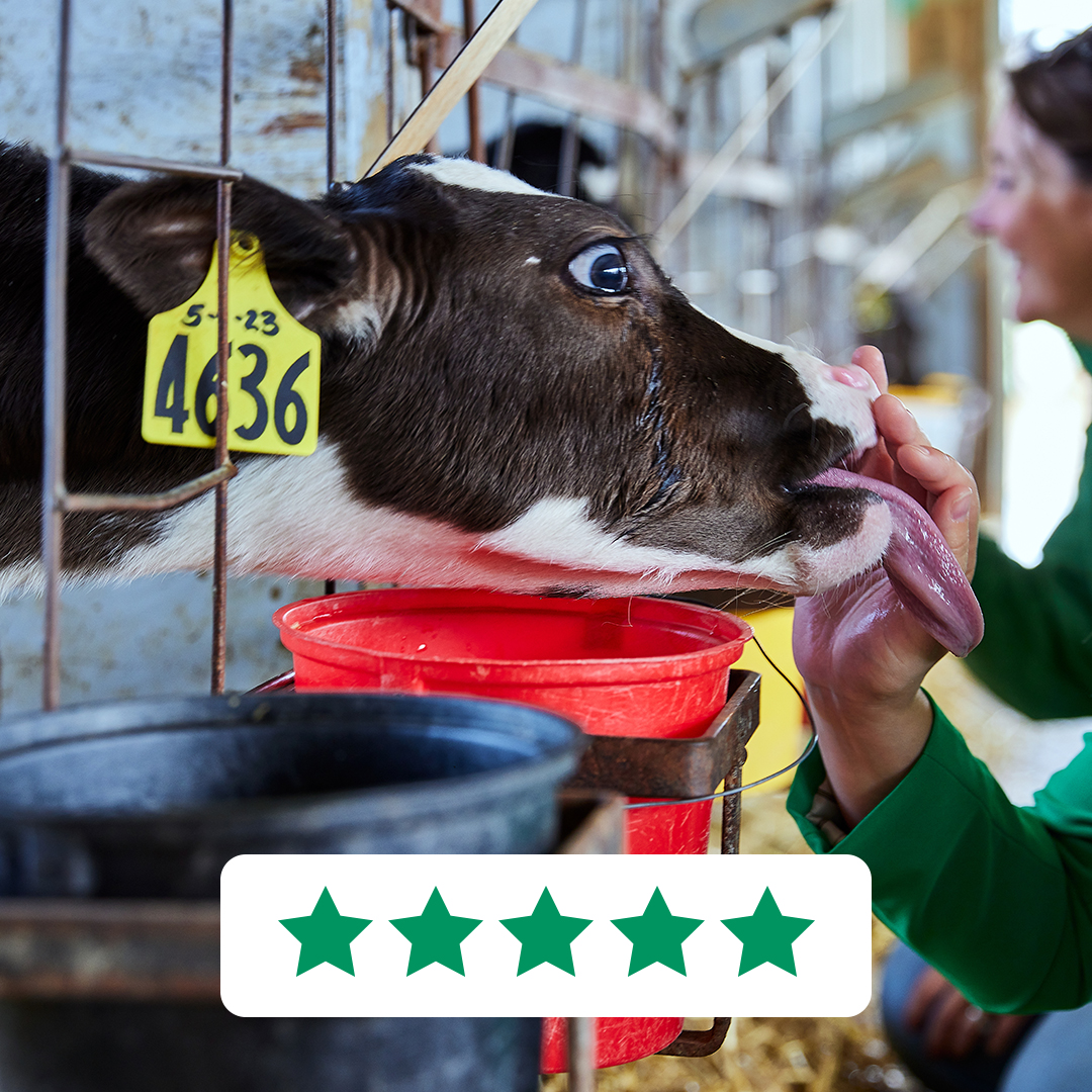 ⭐️⭐️⭐️⭐️⭐️ Thanks for the 5 star review of your farm visit and our Chocolate Milk, Sam!