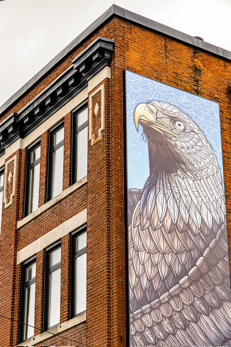 FRESH BRICK tweet media