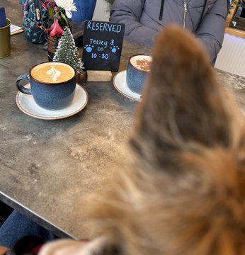 Evelyn_able's tweet photo. Had a lovely breakfast at @ChapterOneSheff this morning https://t.co/E3F6d5WOqo