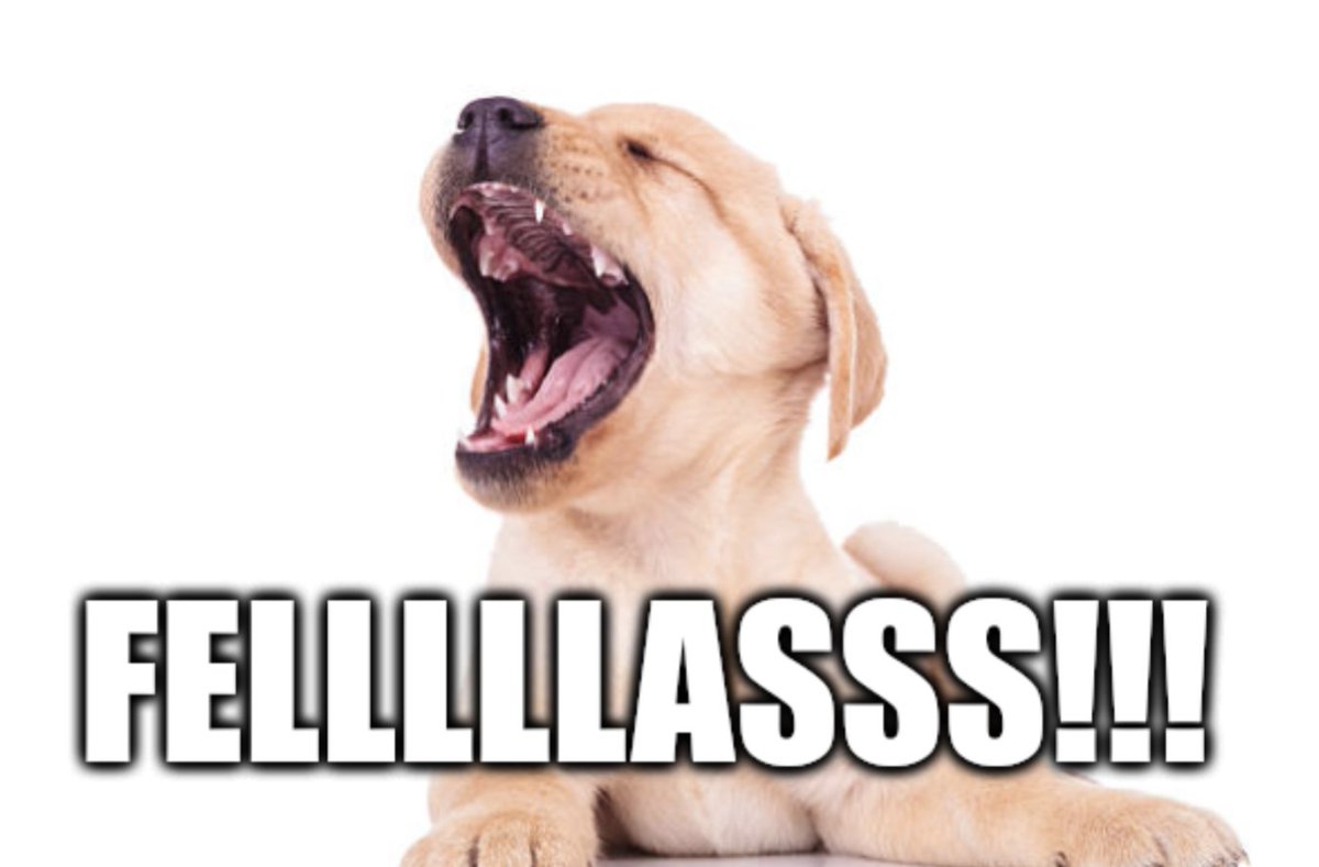 paigeinkansas's tweet image. Why don't y'all #RageDonate so @RimaFelleria &amp;amp; @natsec_MiLB can get some drones on the way to the 93rd?

@FFujiwarasan is matching donations up to $220! Let's goooo!!

#Ukraine #DroneZone 🇺🇦