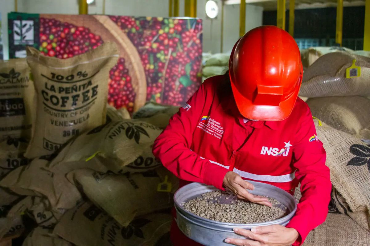 HectoRodriguez's tweet photo. ¡Rumbo a Japón más de 2800 kilogramos de café de especialidad mirandino! ☕

A través del programa Ruta del Café Miranda refundamos la tradición cafetalera de nuestro estado afianzándolo en el mercado nacional e internacional.  

Junto a nuestros caficultores seguimos trabajando para mejorar la producción y diversificar la economía regional.