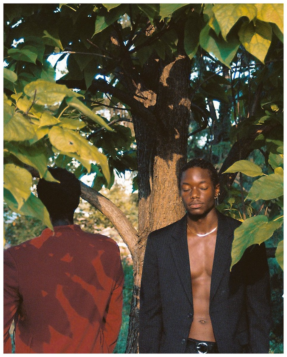 1moham3d's tweet photo. The cardinal and the crow 
shot by me on 35mm https://t.co/MHW8INWmyB