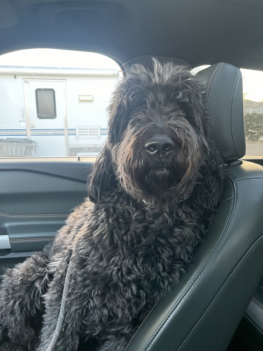 Going for a haircut!