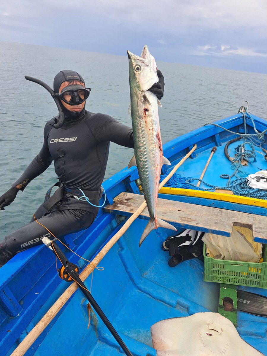 JAReis_Filho's tweet photo. 🎣From  landing data (1950–2015) to exploring trends in species traits and  functional diversity, our study sheds light on the challenges and  opportunities for sustainable practices. 🌐 #MarineScience #Conservation https://t.co/a8aDZ8dm3E