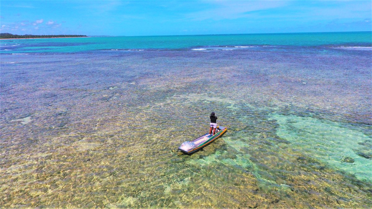 JAReis_Filho's tweet photo. 🎣From  landing data (1950–2015) to exploring trends in species traits and  functional diversity, our study sheds light on the challenges and  opportunities for sustainable practices. 🌐 #MarineScience #Conservation https://t.co/a8aDZ8dm3E