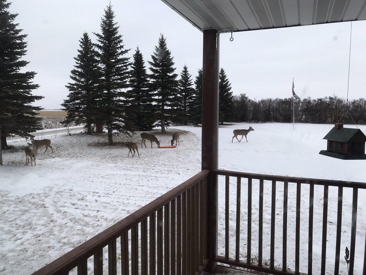 Early supper tonight.