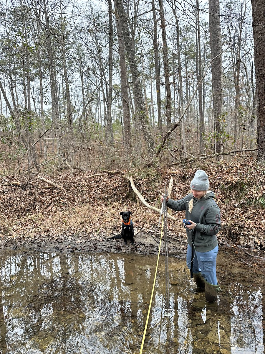 Every field lab needs a good field dog… Lester waited very politely on the bank while we took measurements. 😍