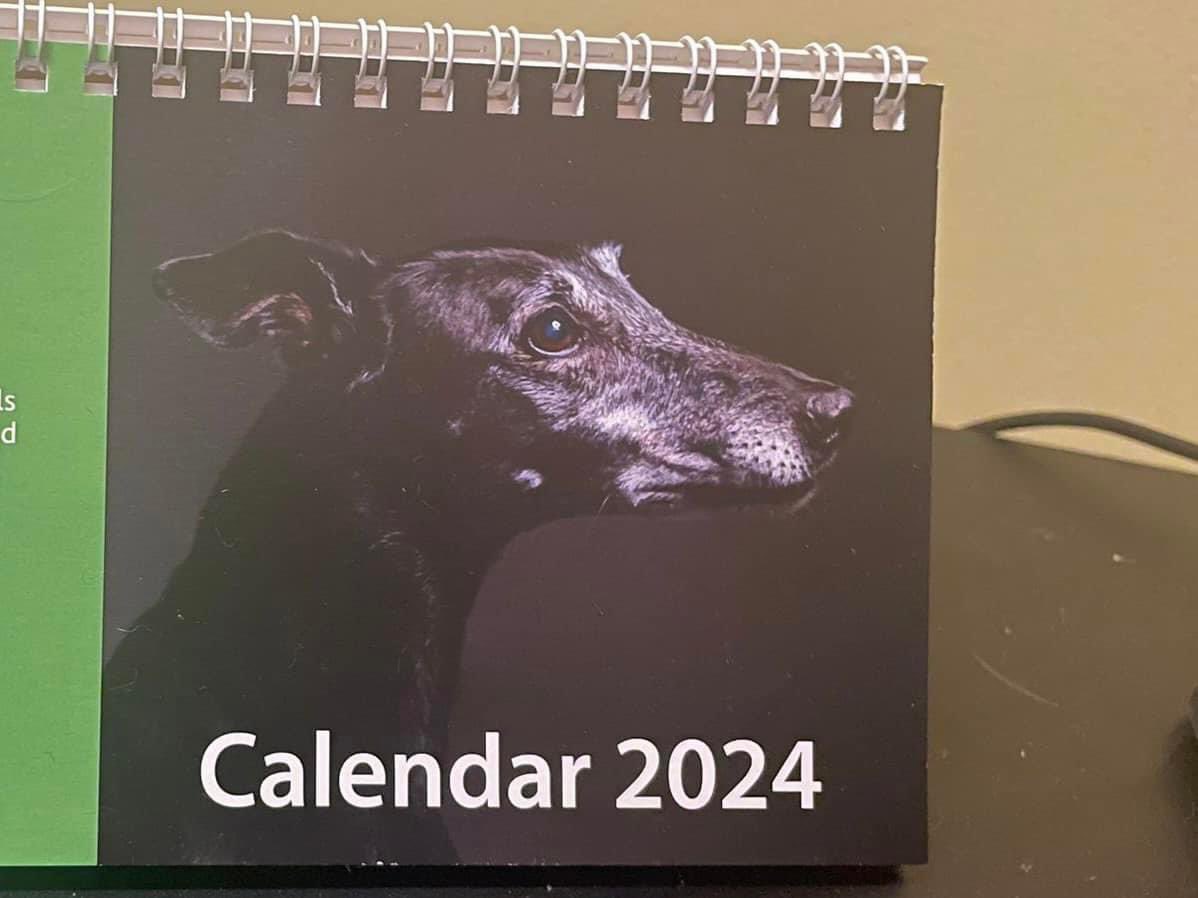 Our Hall Green branch have some Desk Calendars left for sale and they can do these for £5 including delivery in the UK. If you are interested in one then please email them at Hallgreen@greyhoundtrust.org.uk and they will then give you payment details.