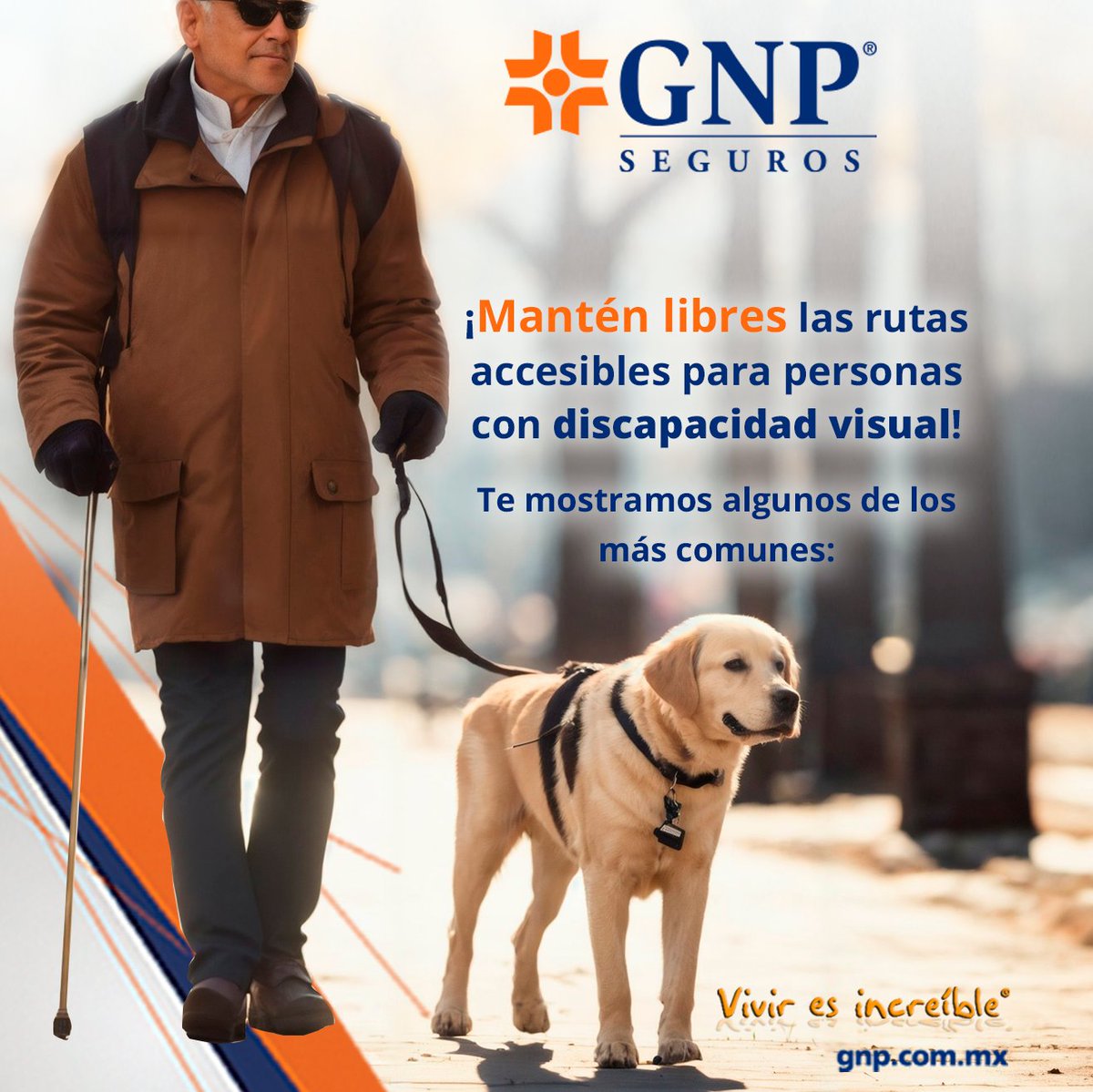 GNPSeguros's tweet photo. En el marco del #DíaMundialDelBraille, conoce y respeta las señalizaciones que se tienen para las personas con problemas de visión en los espacios públicos.  #GNPporlaComunidad #Viviresincreíble https://t.co/CHlQdpUB5H