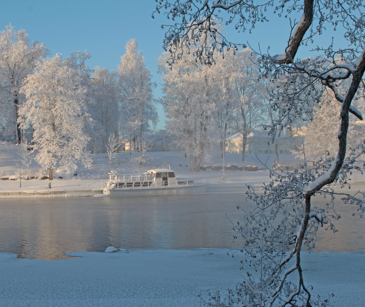 RitvaSavolaine1's tweet photo. @RitvaSavolaine1 Pakkasaamuna kanavan rannan puut olivat ihan valkoisia. #frozenmorning #whitetrees #kanavanranta #pakkasaamu #winter2024 https://t.co/bJ5T5WooTY