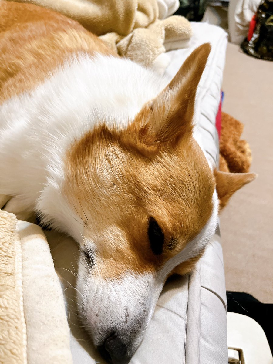 おはワン🐶
喪中期間中のため新年の挨拶は控えさせていただきます🙇
昨年中はいろいろとお世話になりました🙇‍♀️
本年もよろしくお願いします🥺

taku819.base.shop