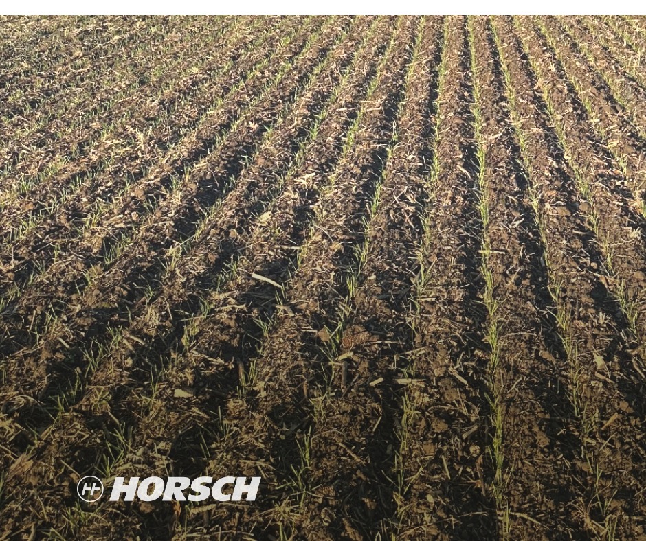HorschLLC's tweet image. Effortless setup, superior results! ✨🌱 The Avatar SD - offering easy setup with its adjustable toolbar and delivering exceptional field emergence. From setup to performance, experience farming efficiency redefined with Avatar SD

#HORSCH #AvatarSD 
#EfficientFarming #AgX