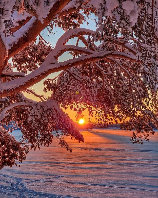 MARY_ESMAEELI's tweet photo. ☀️
Good morning dear friends 

#nature #photography https://t.co/kXqv3sVCoQ