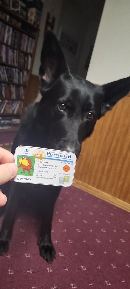 barryblockapes's tweet photo. This is my dog, and he is K-Strategist, aka, a Specialist. He will be able to grow to an older age than a Generalist and will have fewer offspring, thus being able to give each of them more attention. #apeseco @franklinlorax https://t.co/pW2zkFiZRW