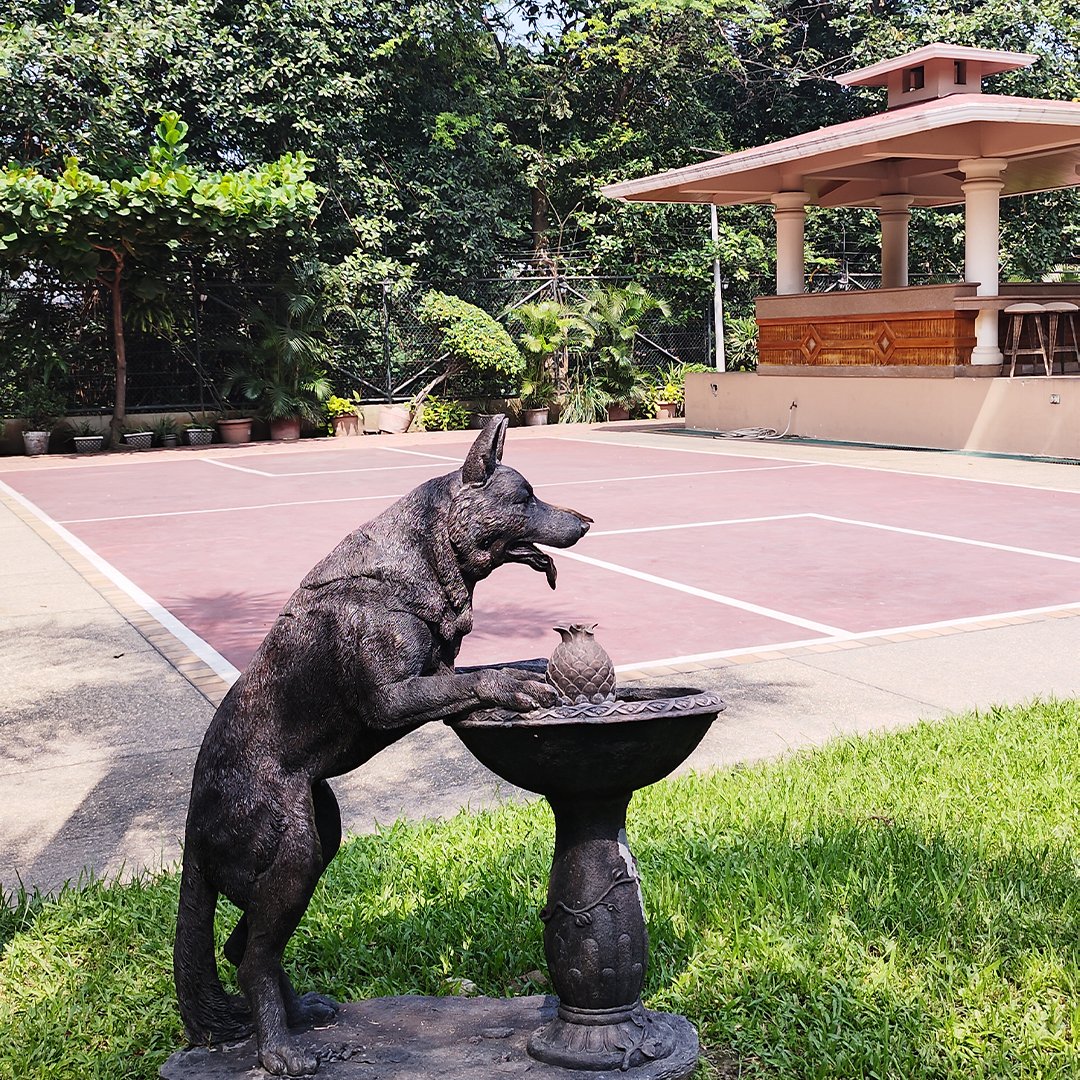 Descubre nuestra oferta única para viajeros y ejecutivos en el corazón de Guayaquil. Hospédate con nosotros y experimenta la comodidad que mereces.

🌎 luxvahotel.com

#alojamiento #hotel #hotelboutique #ecuador #Guayaquil #allyouneedisecuador