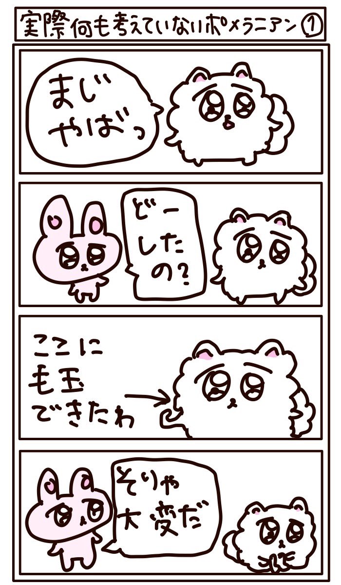 実際何も考えていないポメラニアンのなんてことない四コマ漫画だよ。期待してみちゃダメだよ⭐︎ 