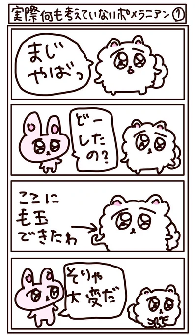 実際何も考えていないポメラニアンのなんてことない四コマ漫画だよ。期待してみちゃダメだよ⭐︎ 