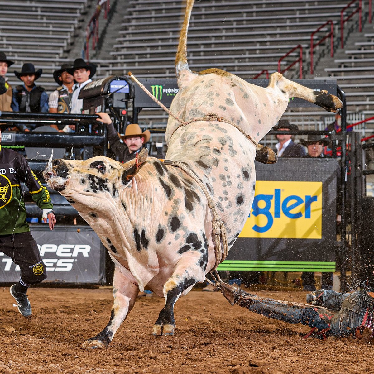 PBR tweet media